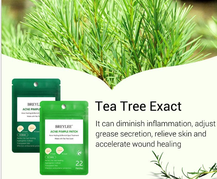 Ultra-Thin Tea Tree Acne Patch – Invisible Hydrocolloid Dots (30–50 pc)