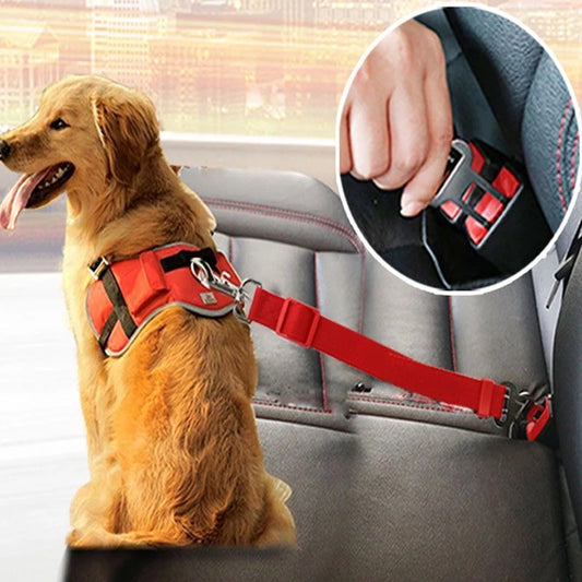 Adjustable Pet Seat Belt Collar – Safety Breakaway & Leash Attachment