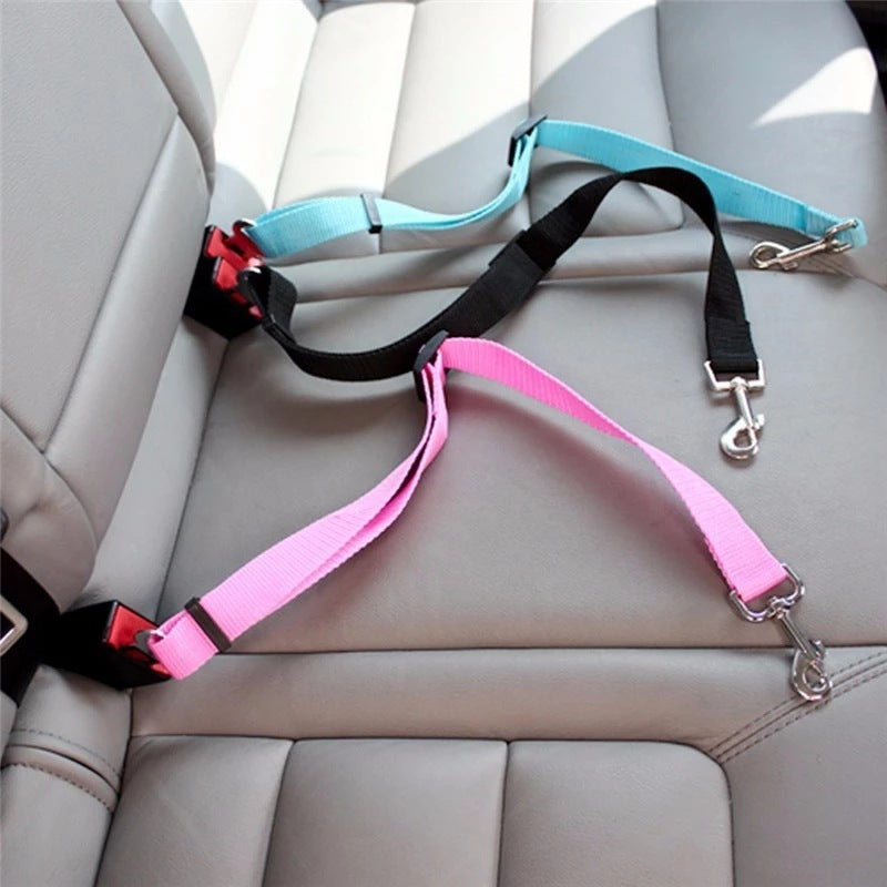 Adjustable Pet Seat Belt Collar – Safety Breakaway & Leash Attachment